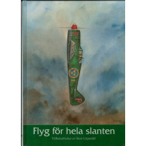 Flyg för hela slanten