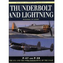 Thunderbolt and Lightning: The Jug and the Fork-tailed Devil