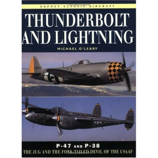 Thunderbolt and Lightning: The Jug and the Fork-tailed Devil