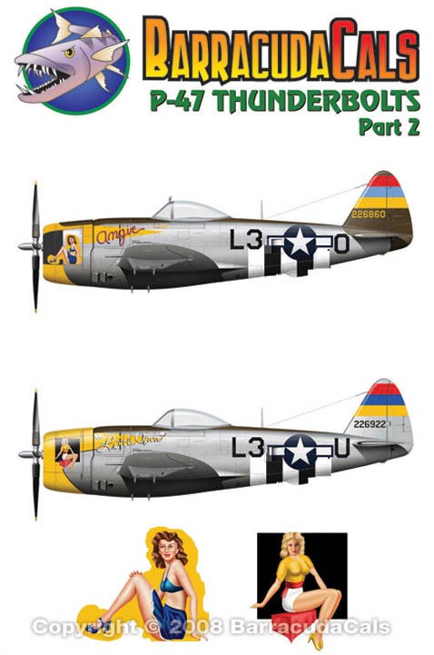 P-47 Thunderbolt part 2