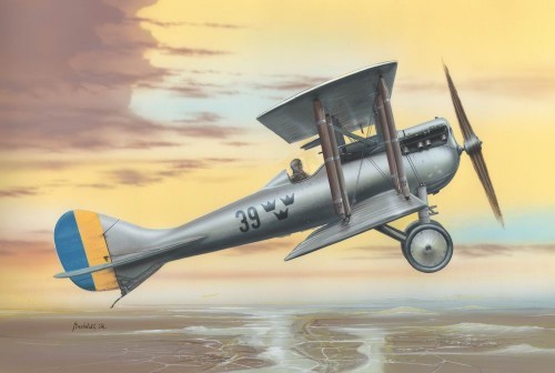 Nieuport-Delage NiD 29C-1 SwAF J2