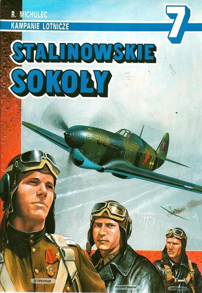 Stalinowskie Sokoly - Kampanie Lotnicze 7