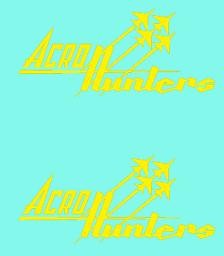 Acro Hunters nose emblems 1/32