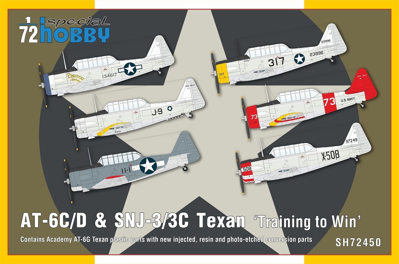 AT-6C/D & SNJ-3/3C Texan Training to Win (Sk16)