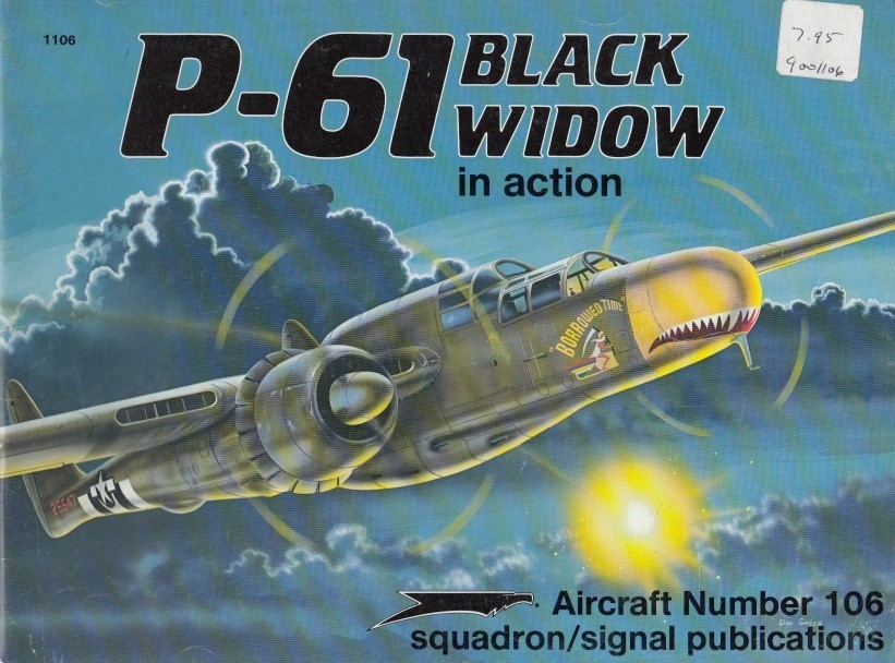 P-61 Black Widow in Action