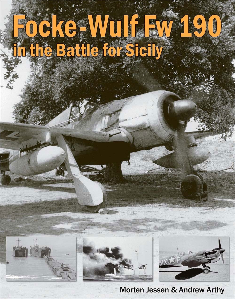 Focke Wulf Fw190 in the Battle for Sicily
