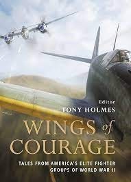 Wings of Courage: Tales from America's Elite Fighter Groups of WWII