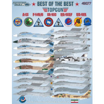 Best of the Best Top Gun