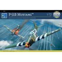P-51B Mustang w. mask & 4 decals
