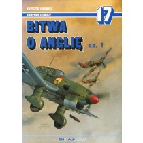 Bitwa O Anglie Part 1 - Kampanie Lotnicze 17