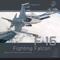 F-16 Fighting Falcon by Duke Hawkins
