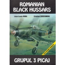 Romanian Black Hussars, Grupul 3 Picaj