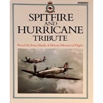 Spitfire and Hurricane tribute