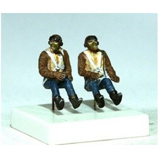 RAF pilots seated in a/c, 2 figures