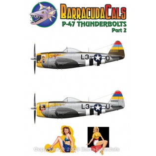 P-47 Thunderbolt part 2