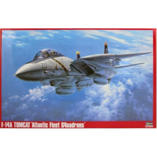 F-14A Tomcat Atlantic Fleet Squadrons