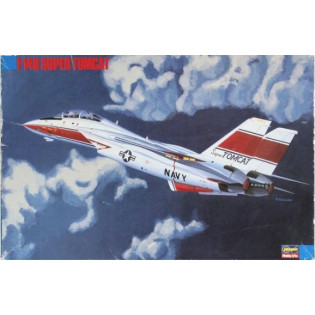 F-14D Super Tomcat