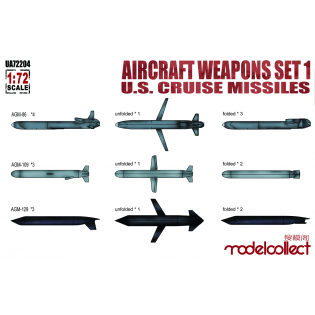 Aircraft weapons set 1 US cruise missiles