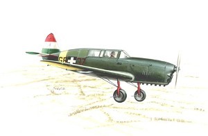 Nardi F.N.305 Luftwaffe and Royal Hungarian AF