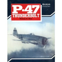 P-47 Thunderbolt (Warbirds Fotofax)