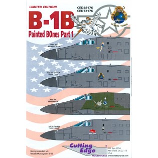 B-1B Painted BOnes, Part 1