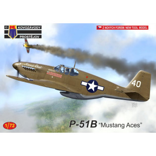 P-51B Mustang Aces