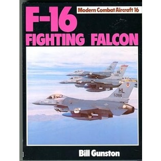 F-16 Fighting Falcon: Modern Combat Aircraft 16