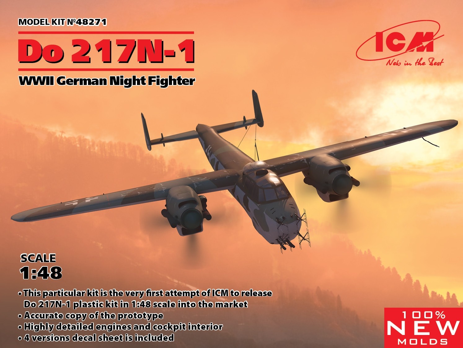Do217N-1 Night fighter NEW MOLDS