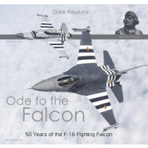 Ode to the Falcon by Duke Hawkins