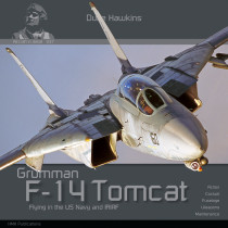 Grumman F-14 Tomcat by Duke Hawkins