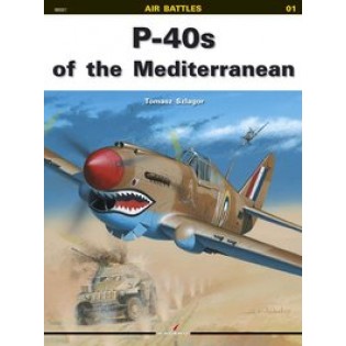 P-40s in the Mediterranean