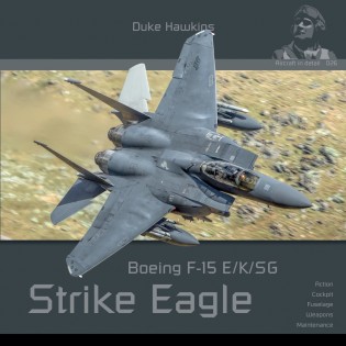 McDonnell F-15E Strike Eagle  by Duke Hawkins