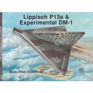 Lippisch P13a & Experimental DM-1
