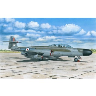 Gloster Meteor NF.12 